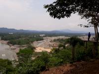 Criminal Networks Threaten the Amazon. Indigenous Leaders Want the U.N. To Act.