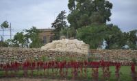 Wied Inċita grows by 7,000 square metres with completion of second phase