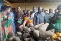 Cameroon Pushes Cooperative Model to Strengthen Rural Women’s Businesses