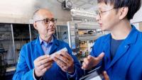 Brain drain beyond Israel: Scientists leaving US