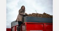 "We also see plenty of opportunities for fresh potato products beyond Belgium"