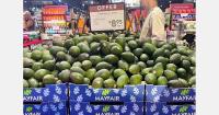 Western Australian avocado production to be approximately 40–50% lower than last season
