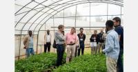 Dutch delegation explores seed potato sector opportunities in Ethiopia