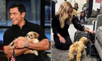 Kelly Ripa and Mark Consuelos suffer distressing setback to new dog adoption due to 'health issue'