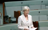 Attack on Australian MP Helen Haines: MP loses leg after surgery, man in custody named