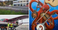 AROUND ALASKA: Hospital Parking, Festival Artwork and Halloween Pumpkins