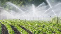 Growtech West Africa, NADF partner to strengthen Nigeria’s agricultural growth, food security