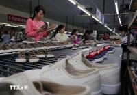 Vietnam–EU trade expands amid new challenges