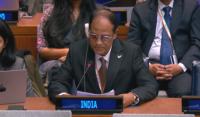 India urges global vigilance over transfer of sensitive weapons technology to terror-linked actors