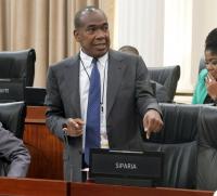 AG calls for probe into Young’s travel records