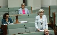Ged Kearney: Australian Labor MP on MP Helen Haines being struck by a vehicle