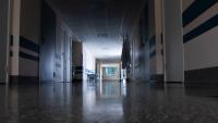 In Alaska, a hospital visitor was trapped in a locked hallway as a black bear raided candy