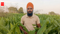 Engineer quits after 4 months, now grows organic for 50 customers