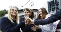 Inside Ireland’s only boarding school offering the Leaving Cert and International Baccalaureate
