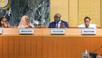 FG Takes Renewed Hope Housing Model to 36 African Countries