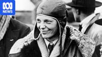 Suspected Amelia Earhart plane wreckage identified as clump of trees