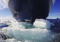 Why the Arctic route is heating up for global shipping