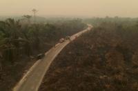 Indonesia's burned land doubles in September as fires rage, data shows