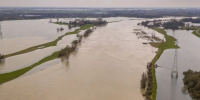 Spain’s citrus harvest at risk after Storm Adam hits 8,000 hectares of farmland