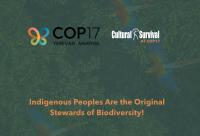 Cultural Survival Statement for COP17 Agenda 1