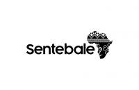 Sentebale reportedly pauses action against Prince Harry after recording 20% income drop