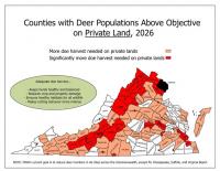 Virginia Department of Wildlife Resources Warns of Deer Overpopulation, Encourages Hunting