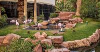 Canadian Man Faces 4 Years in Prison for Stealing Las Vegas Hotel Flamingo After Booze Binge