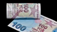 Turkish households' confidence in lira remains resilient: S&amp;P