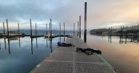 Docktober invites folks to join citizen scientists in peeking under docks