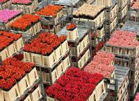 Armenia exports flowers to 30 countries in 2026