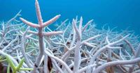 Leading climate scientist warns global warming is accelerating