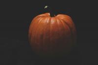 University of Montana Main Hall Pumpkin: Where It Came From