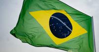 Brazil avoids nationwide China poultry ban after Newcastle disease case