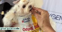 Exclusive: Friends & Family Pet Food Launches Cultivated Meat in Hong Kong