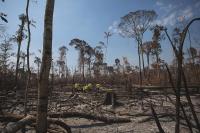 Deforestation goal off track