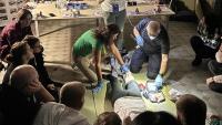 Irish doctors return from teaching trauma care in Kyiv