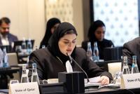 Minister of State for International Cooperation takes part in Afghanistan Coordination Group meeting