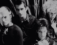 News: The Cramps Exhibit Headed to The Punk Rock Museum