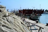 Fisheries: the EU is working on a long-term strategy to safeguard both the sector and itself