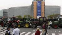 Europe Cost of Living Protests Spark Major Crisis, Brussels