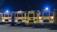 Bus drivers talk about training during School Bus Safety Week