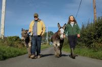 Embrace autumn unplugged in Northern Ireland