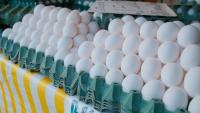 Brazil’s 2026 egg exports continue to rise