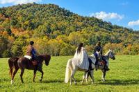 West Virginia mountains become medieval kingdom in award-winning fantasy film