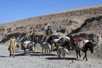 UN: 19m Afghans facing acute food insecurity by April