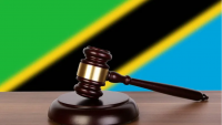 NaLIS: Digital transformation brings legal services closer to Tanzanians