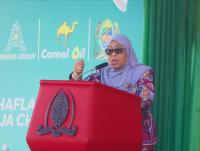 Tanzania deserves mutual respect, not political lectures