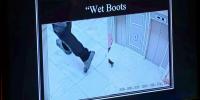 Las Vegas tourist's flamingo encounter at iconic hotel turns ugly