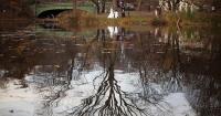 2026 Thanksgiving weather forecast: Farmers' Almanac predictions for the Northeast
