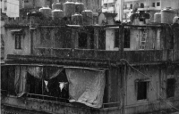Rainwater nowhere is safe to drink